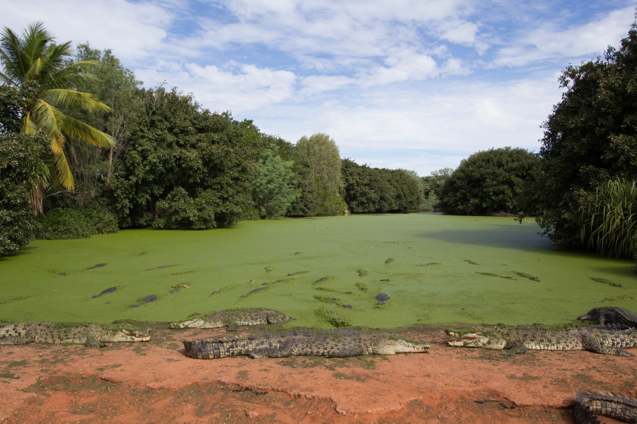Malcolm Douglas Wilderness Park&nbsp;Broome