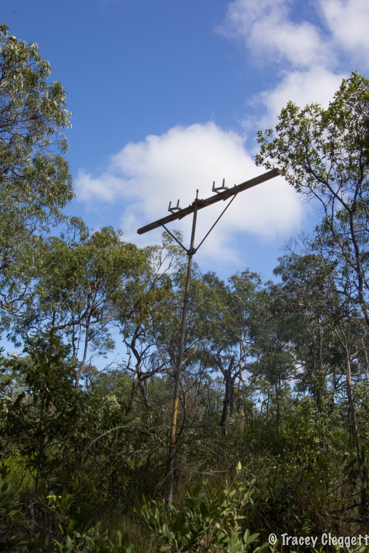 The Cape – P2 The Old Tele&nbsp;Track