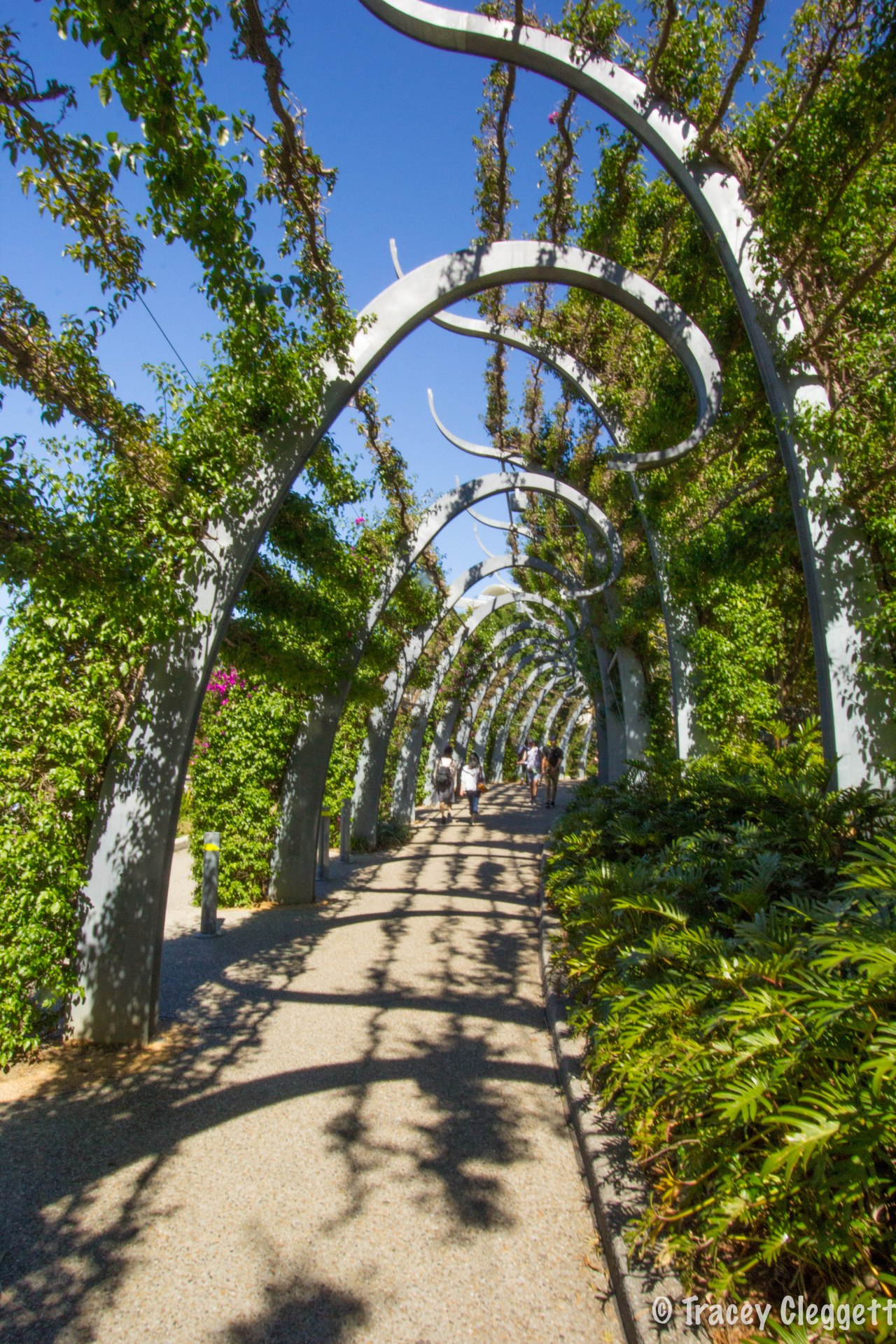 Bright Lights and Good Times- Brisbane and the Gold&nbsp;Coast